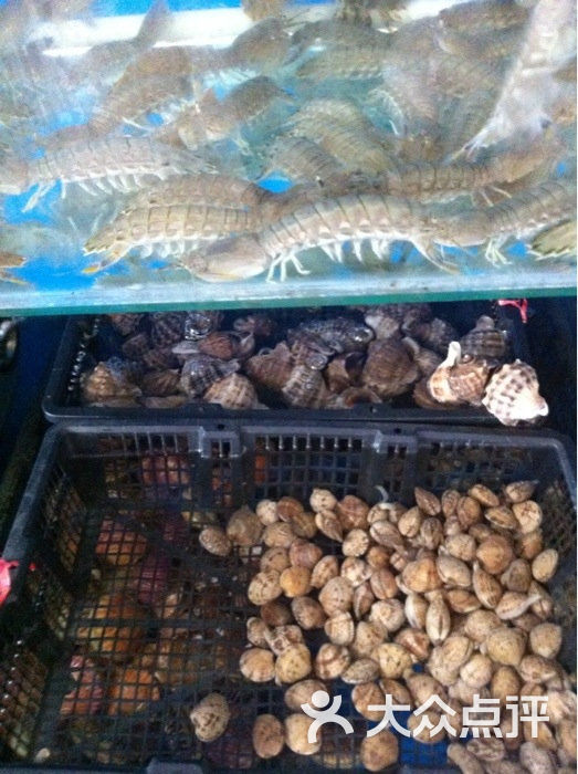 海口金海岸罗顿大酒店_金海岸小学羽毛球馆_金海岸海鲜食府