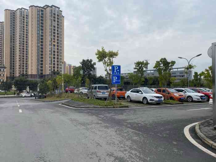 重庆机动车驾驶人科目三·南岸迎龙考场-"考过,开心.