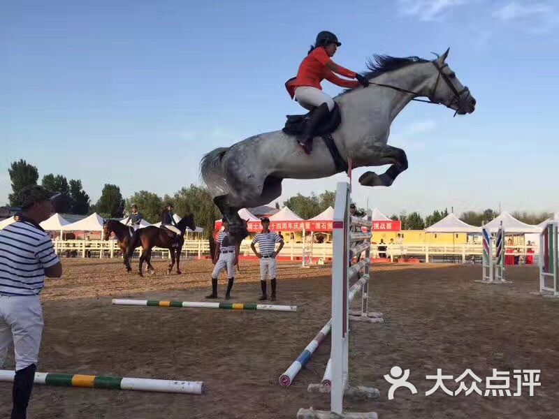 中联骑士联盟马术俱乐部图片-北京马术场-大众点评网