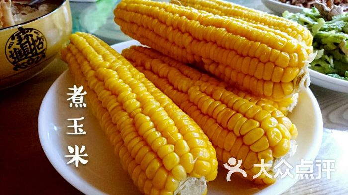 自种玉米蒸蒸·植物甾醇图片