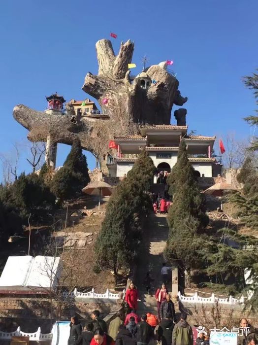 九龙槐风景区-图片-涉县周边游-大众点评网