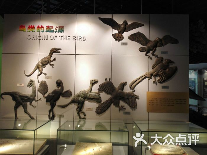 中国地质大学逸夫博物馆图片 - 第1张