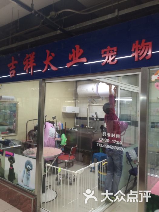 大连中山公园宠物市场图片 - 第3张
