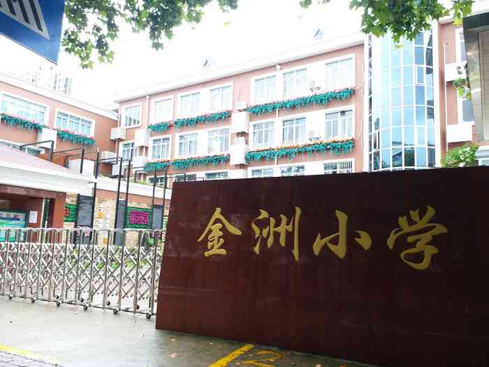 金洲小学"普通区比较优质的一所小学吧.首先老师在培.