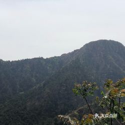 山有多少人口_北流隆盛镇有多少人口