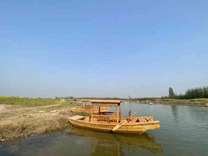 封丘陈桥湿地公园油菜花节