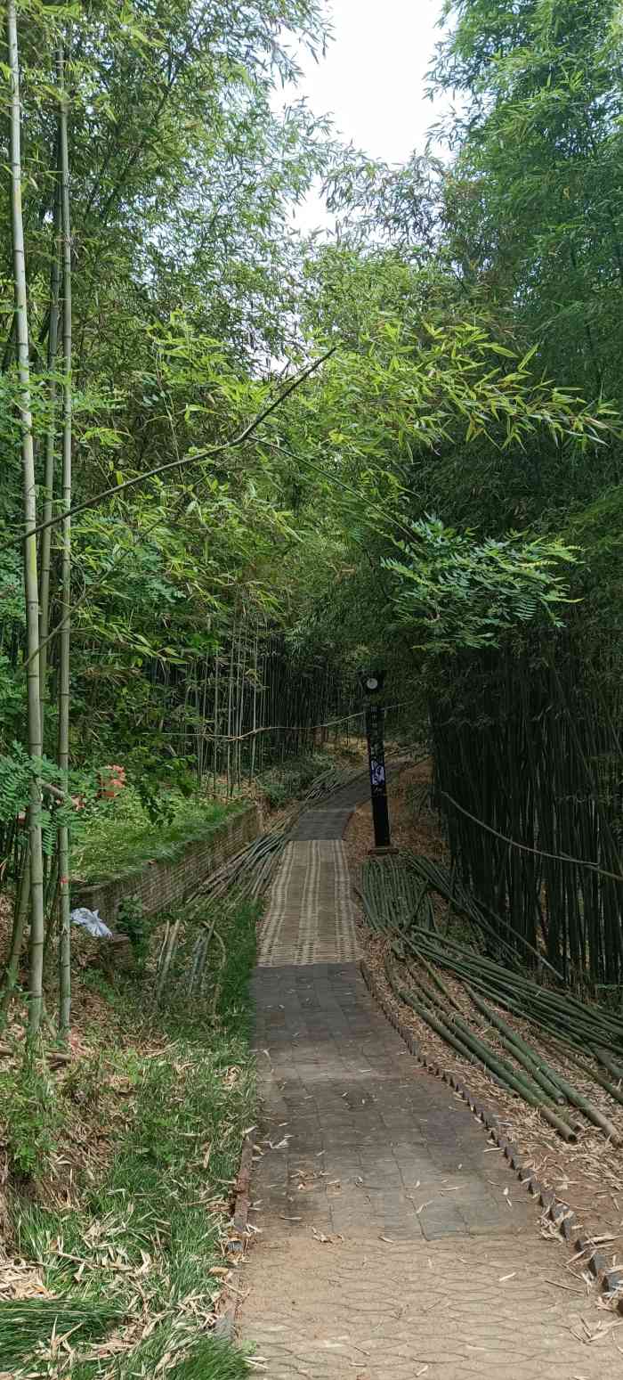 西安鲸鱼沟竹海风景区"最近真的是太累了,临时决定给自己放一天假.