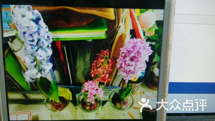 Meeting Flowers 遇见花艺(新乐路)-图片-成都购