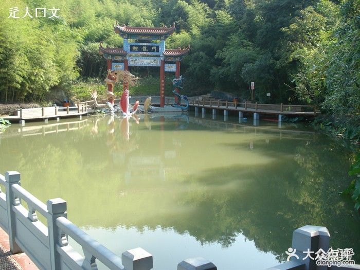 鲤龙潭森林公园-鲤龙潭-环境-鲤龙潭图片-象山景点/周边游-大众点评网