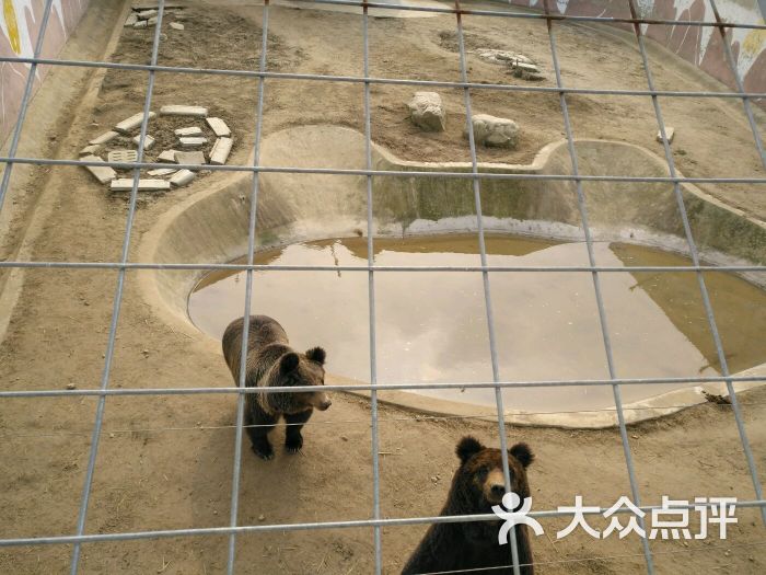 大丰港动物园图片 - 第7张