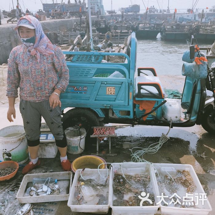 红岛休闲渔村图片 - 第1张