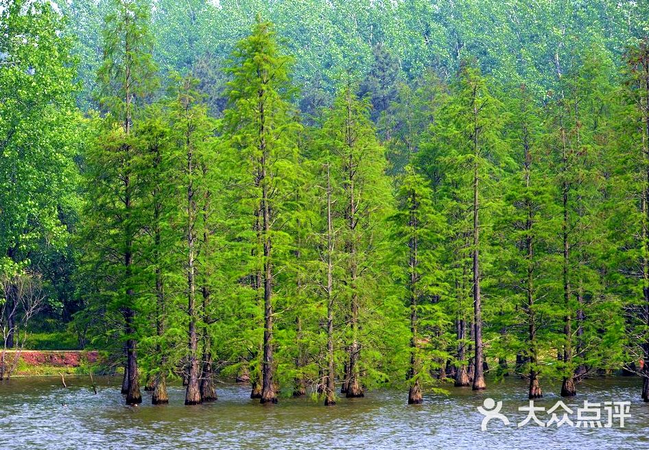 止马岭风景区图片 - 第103张