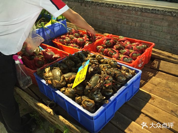 椰林6号海鲜码头-图片-英德市美食-大众点评网