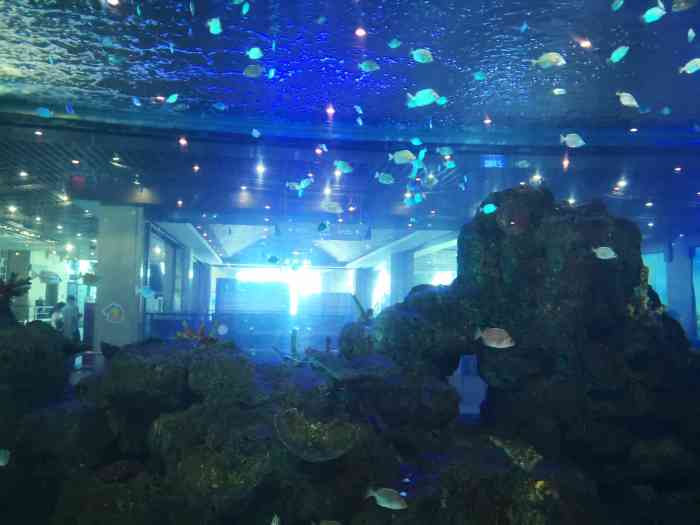 鎏嘉码头水族馆-"去鎏嘉码头吃饭,一楼中央公共区域就