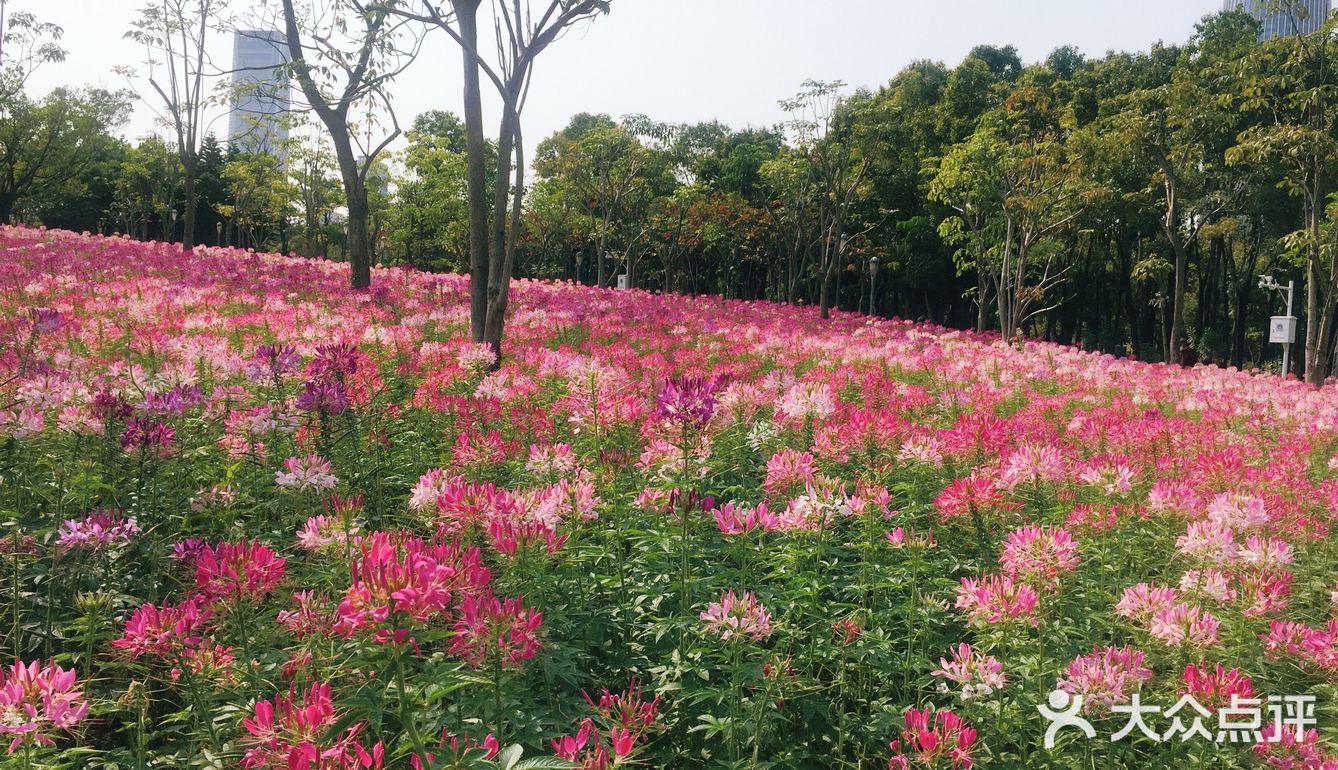 流花山公园