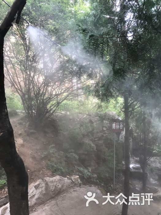 仙西山风景区景点雨林谷图片 - 第6张