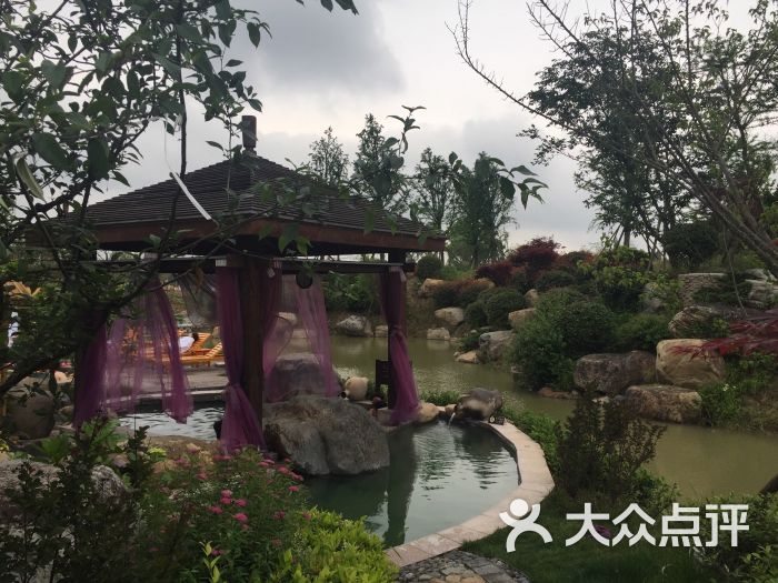 云澜湾·双莲温泉图片 第438张