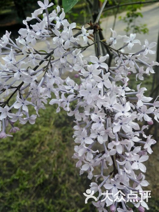 月坛公园-图片-北京周边游-大众点评网