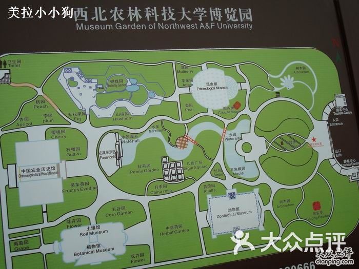 西北农林科技大学博览园蝴蝶园入口图片-北京其他景点