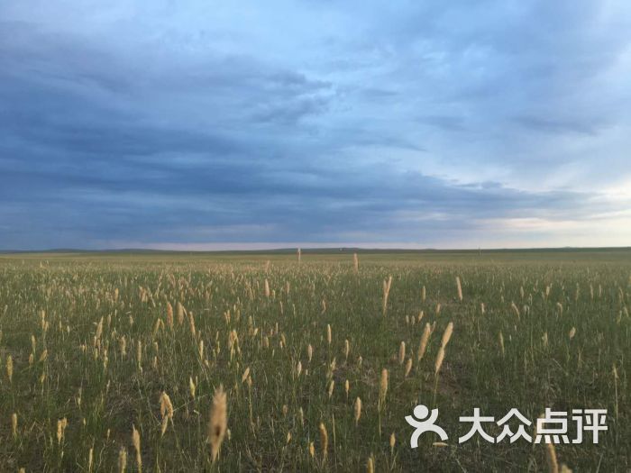 奢匠工坊奢侈品皮具护理工作室-图片-沈阳生活