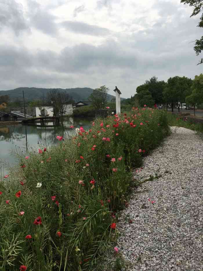 张渚红汕坞景区-"这个是宜兴张渚的一个网红景点 免费