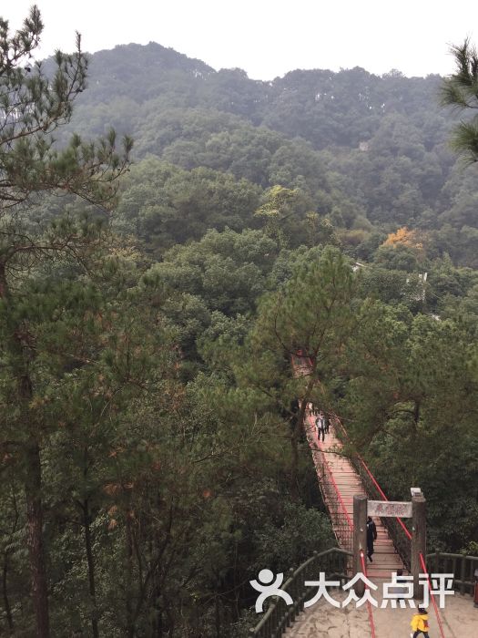 歌乐山国家森林公园-景点图片-重庆景点/周边游-大众点评网