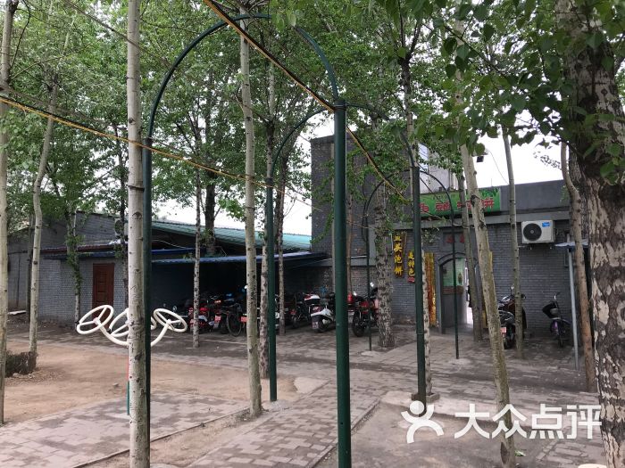 又一村图片 - 第5张