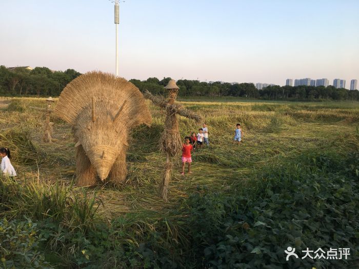 兰里景区-图片-杭州周边游-大众点评网