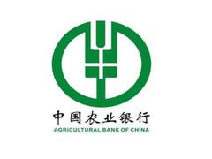 中国农业银行(九三嫩江支行)