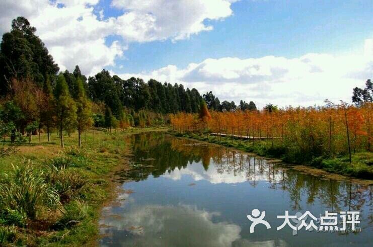 呈贡滇池生态湿地公园