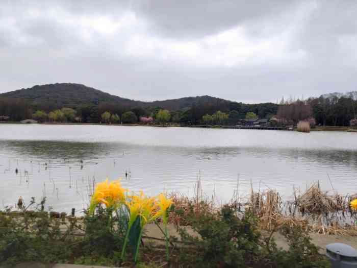 渔父岛生态园-"渔夫岛位于无锡滨湖区望山路口和环湖.