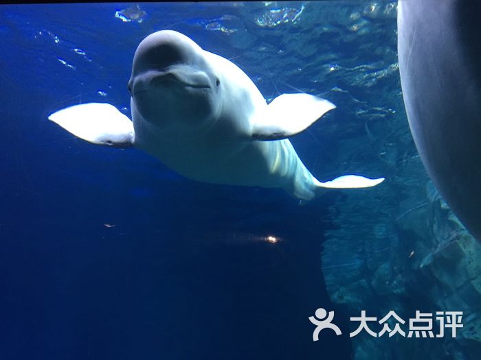 珠海长隆海洋王国