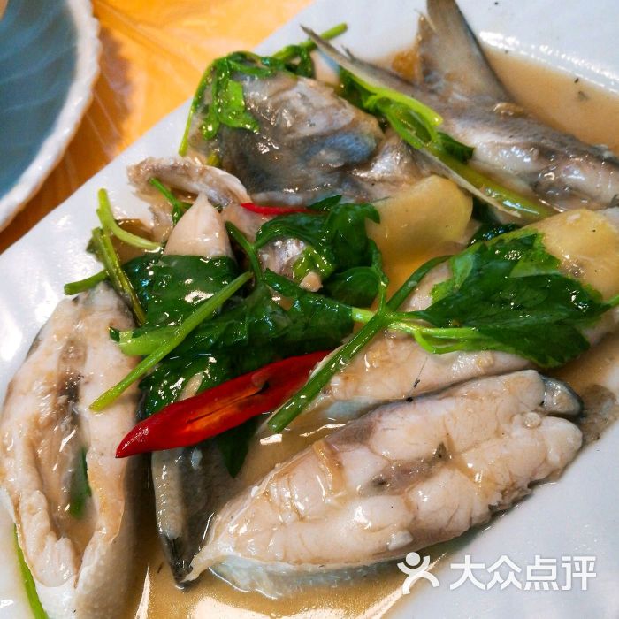 芦笋鱼