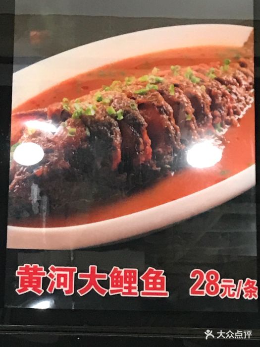 黄河大鲤鱼