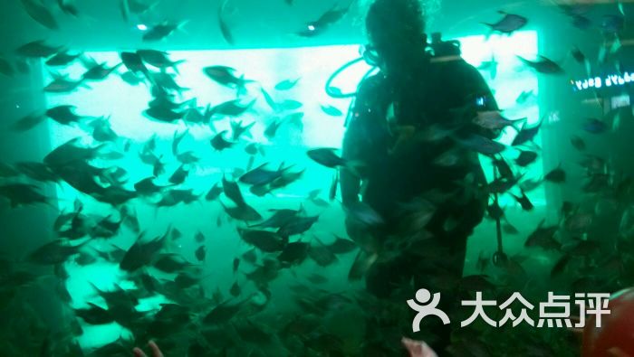 奥兰德海洋村(圆融店)图片 - 第2张