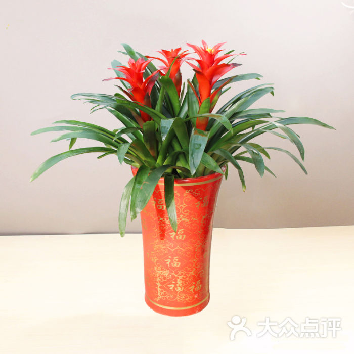 鸿运当头