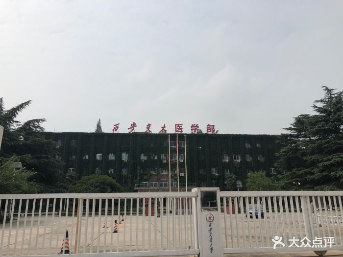 西安交通大学(雁塔校区)图片 第51张