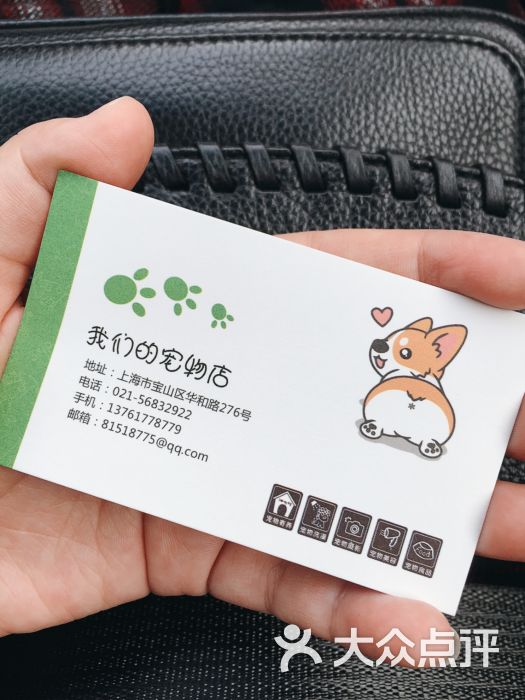 我们的宠物店名片图片 - 第53张