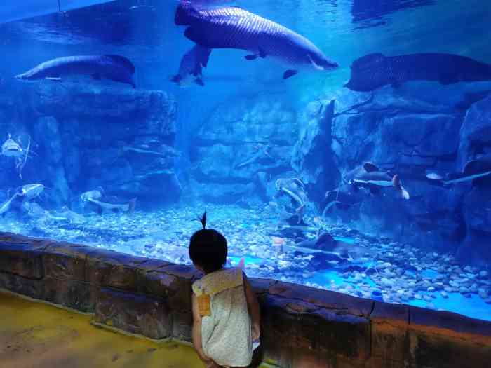 海之语海洋世界-"海之语海洋世界位于海口市观澜湖内