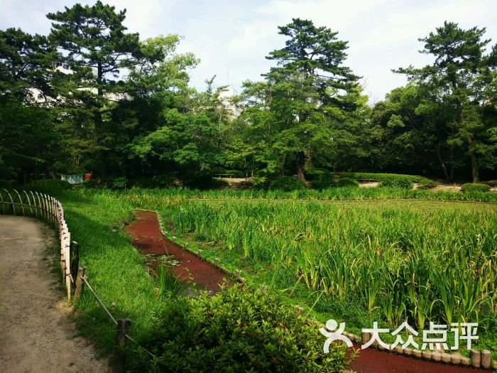 栗林公园-图片-日本景点