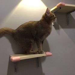 WzPvOhrKKFqa12uxJfgkmzTX1v2un-JWWYZGFBYm3_YMyUnxe74hwCXsA8S86qdXF5u7J_jS4MuCaeLAHD0KTg.jpg
