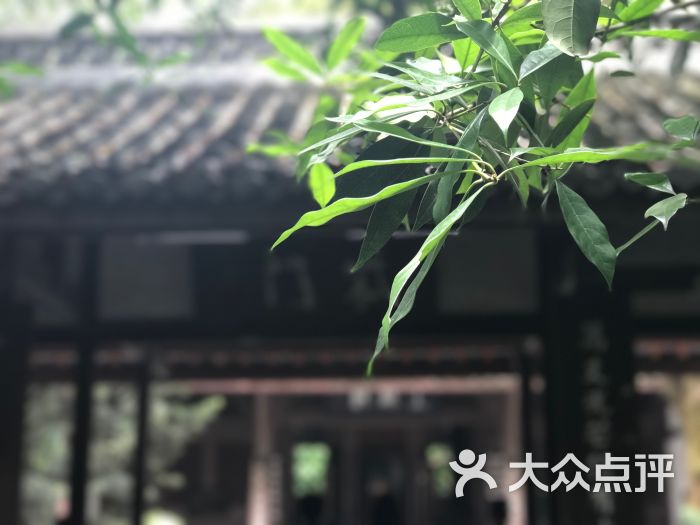 杜甫草堂柴门图片 第3张