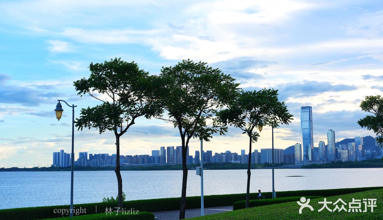 深圳美景|这一段的深圳湾公园太美啦