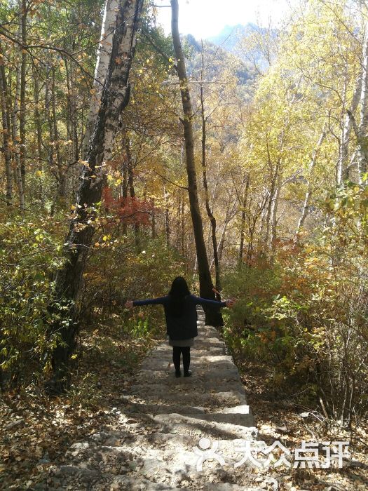 唯一的好处就是可以开车上去,车收费60元,.-雾