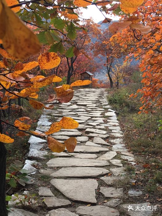 美醉了我的大房山坡峰岭,周六九点驱车东五.
