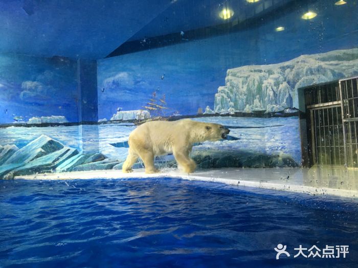 哈尔滨极地公园61海洋馆(1期)图片