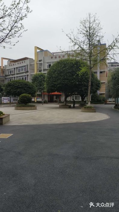 龙湖花园巴蜀学校小学部图片