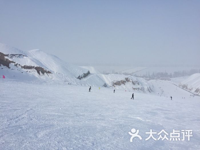 军垦第一连滑雪场-图片-石河子周边游-大众点评网