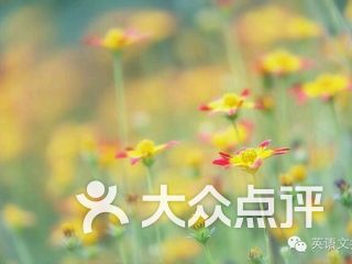 潮阳区谷饶东星小学 电话,地址,图片,营业时间-