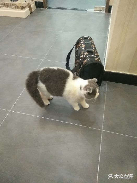 宠爱国际动物医院(芍药居店)